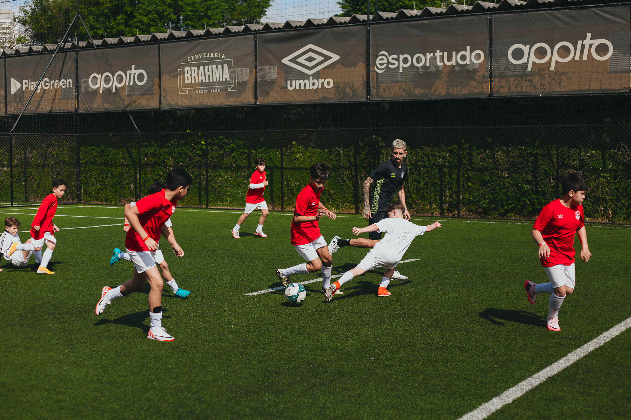 Organização de campeonato