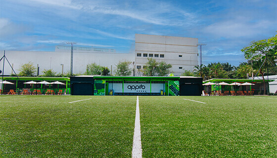Quadras de futebol society